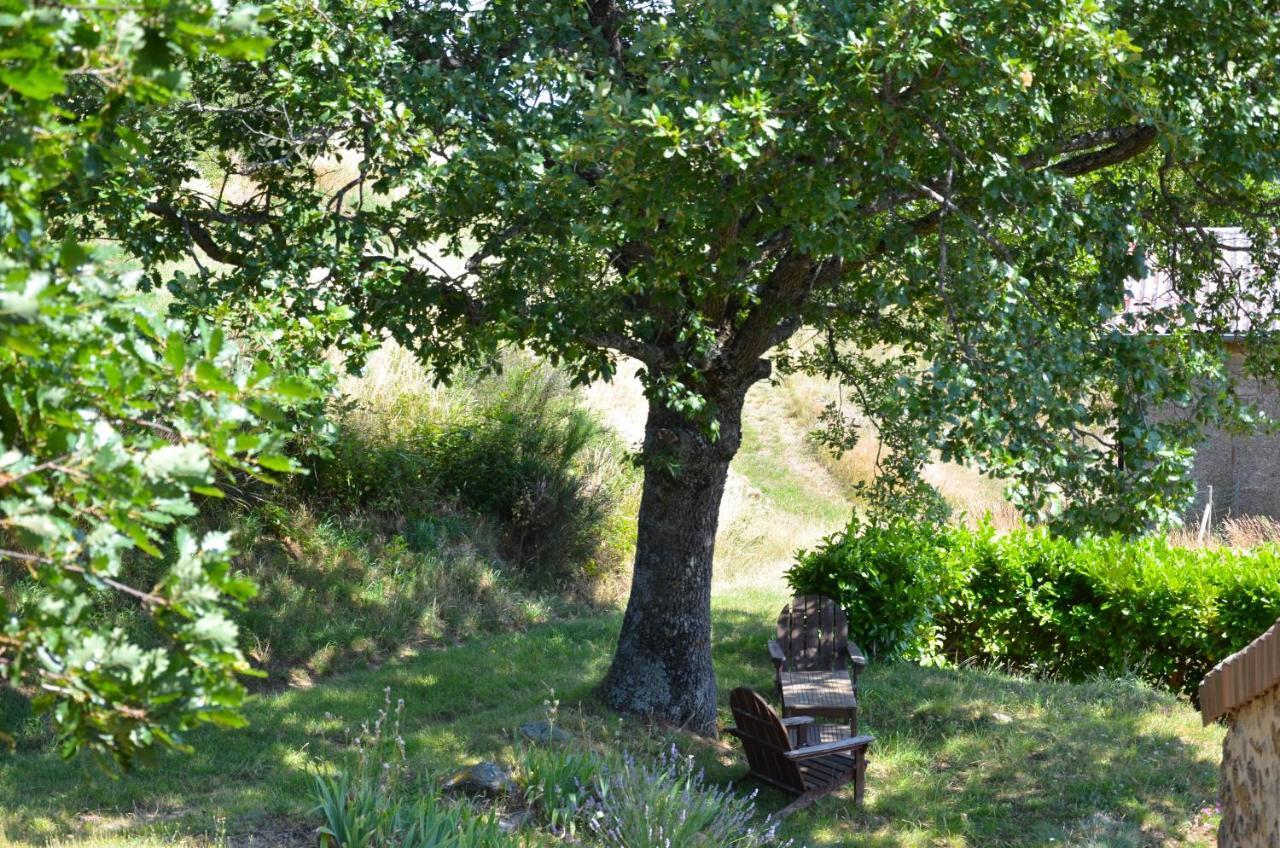 Gites Le Chene & Le Tilleul Saint-Romain-de-Lerps Room photo